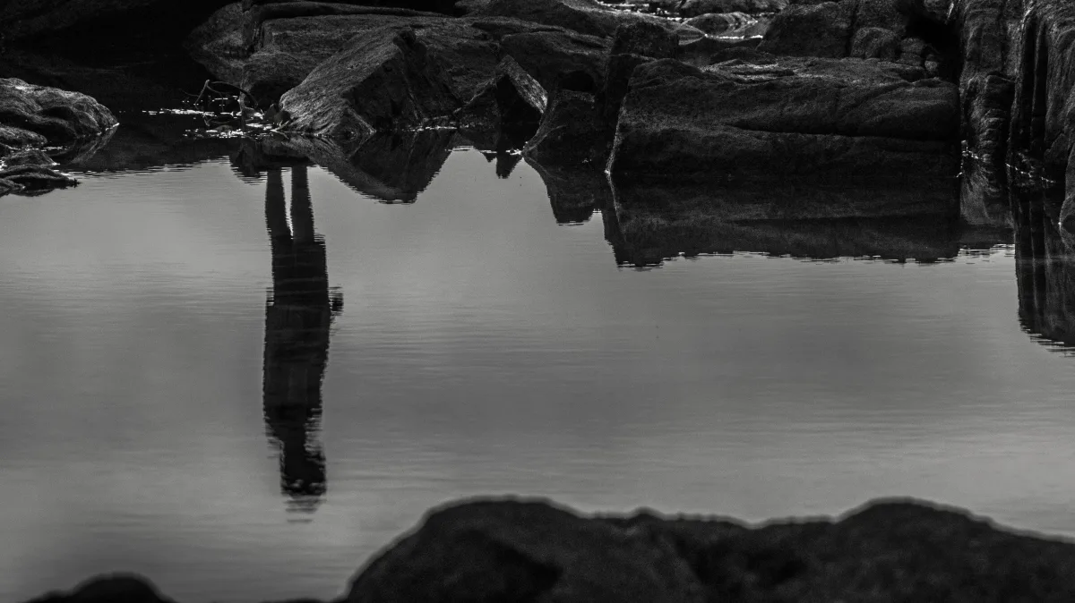 Untitled 28