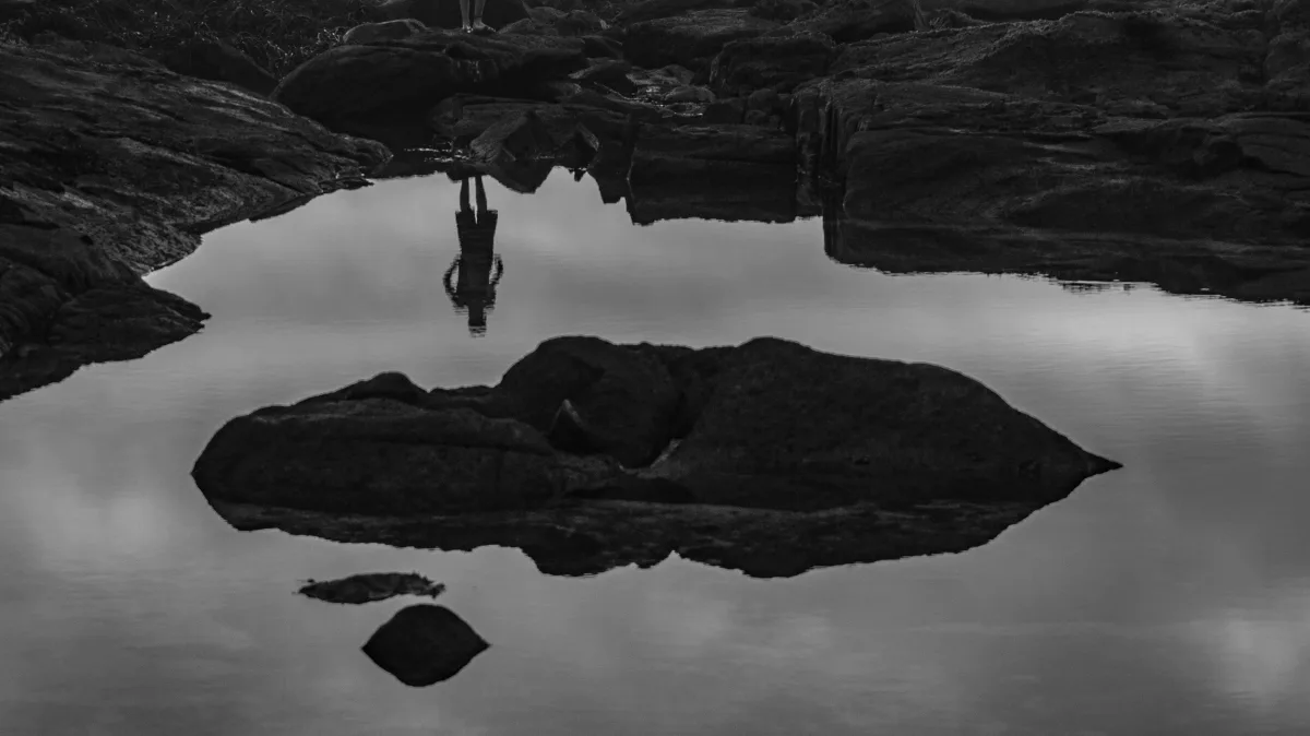 Untitled 29