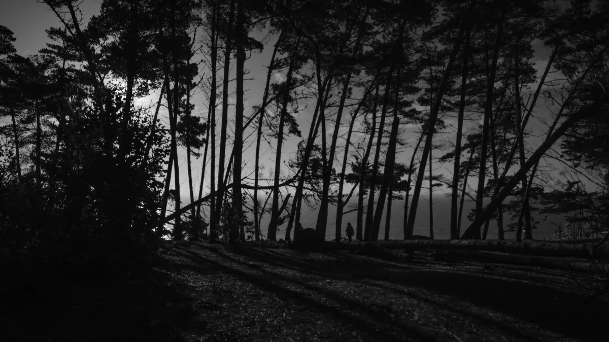 Untitled 31